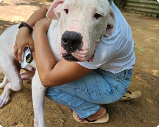 Feed a rescue for a week